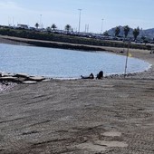 Imperia, dalla Regione 3 milioni per le spiagge: più fondi per sicurezza, pulizia e ripascimenti