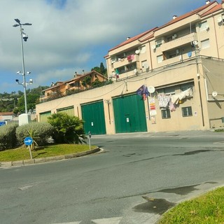 BUONE NOTIZIE. Cane investito alla rotonda di Caramagna: rintracciato il conducente grazie alle telecamere