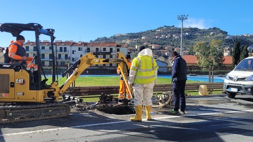 foto Flammia foto Flammia