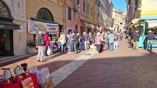 A Imperia scatta la raccolta firme contro l'Ospedale Unico: "Cittadini e turisti sono preoccupati" A Imperia scatta la raccolta firme contro l'Ospedale Unico: "Cittadini e turisti sono preoccupati"