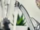 6 MARZO 1981. Sanremo assicura: &quot;Dall'estate 1981 porteremo l'acqua del Roja a Imperia&quot;