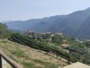 Ranzo entra a far parte delle Città dell'Olio Ranzo entra a far parte delle Città dell'Olio