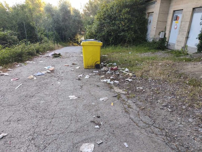 Rifiuti sparsi lungo strada Savoia, la segnalazione della consigliera Bozzano