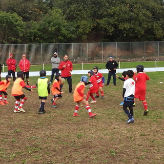 Reds Rugby Team in campo i piccolissimi  e le 'Barbarians'  (video)