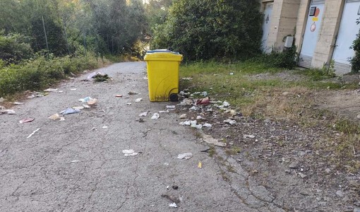 Rifiuti sparsi lungo strada Savoia, la segnalazione della consigliera Bozzano Rifiuti sparsi lungo strada Savoia, la segnalazione della consigliera Bozzano
