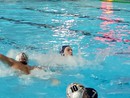 Serie B, la Rari Nantes Raineri Imperia combatte con le unghie e con i denti, ma non basta: 2-7 per il San Giorgio Waterpolo Serie B, la Rari Nantes Raineri Imperia combatte con le unghie e con i denti, ma non basta: 2-7 per il San Giorgio Waterpolo