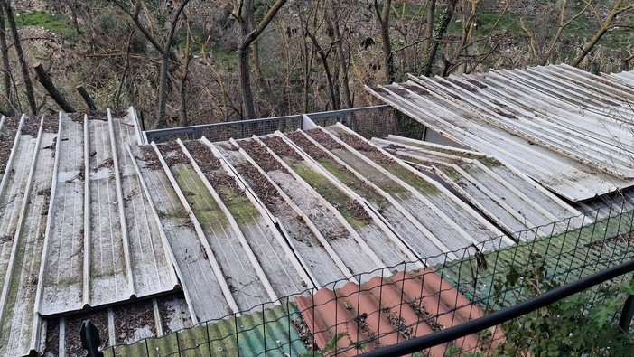 Il rifugio “La Cuccia” chiede aiuto: una raccolta fondi per riparare le tettoie
