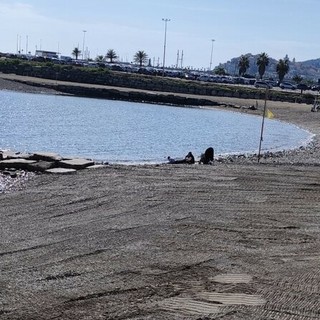 Imperia, dalla Regione 3 milioni per le spiagge: più fondi per sicurezza, pulizia e ripascimenti Imperia, dalla Regione 3 milioni per le spiagge: più fondi per sicurezza, pulizia e ripascimenti