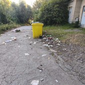 Rifiuti sparsi lungo strada Savoia, la segnalazione della consigliera Bozzano Rifiuti sparsi lungo strada Savoia, la segnalazione della consigliera Bozzano
