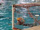Pallanuoto serie B femminile, Rari Nantes Imperia Raineri ancora sconfitta: Camogli vince 10-7