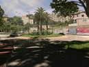 Bosco urbano o foglia di fico? Il retroscena dietro l’oasi verde di Lungomare Vespucci secondo il Pd Bosco urbano o foglia di fico? Il retroscena dietro l’oasi verde di Lungomare Vespucci secondo il Pd