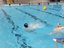 Pallanuoto serie B. Rari Nantes Imperia Raineri pareggia 10-10 a Novara: secondo risultato utile consecutivo