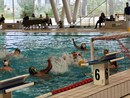 (Foto Flammia) (Foto Flammia)