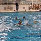 Foto Flammia Foto Flammia