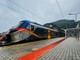 Giornata di passione per chi viaggia in treno