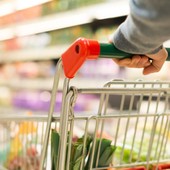 Istat, le famiglie liguri spendono 2.763 euro al mese Istat, le famiglie liguri spendono 2.763 euro al mese