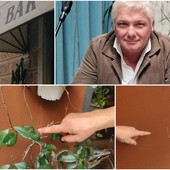 Imperia, simboli 'misteriosi' al bar dell'assessore Gagliano, scatta la denuncia Imperia, simboli 'misteriosi' al bar dell'assessore Gagliano, scatta la denuncia