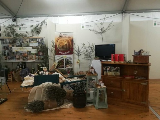 Dalla Valle Arroscia al mare, Pieve di Teco ha detto sì a Olioliova 2025