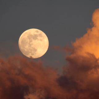 Imperia, è in arrivo la prima Superluna dell’anno Imperia, è in arrivo la prima Superluna dell’anno