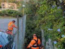Pulizia dei corsi d’acqua e manutenzione del verde, a San Bartolomeo in corso i lavori autunnali