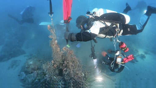 Santo Stefano al Mare: progetto Sea-ty, rimosse due reti fantasma dalla secca (Foto) Santo Stefano al Mare: progetto Sea-ty, rimosse due reti fantasma dalla secca (Foto)