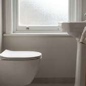 Sanitari bagno: guida pratica per stile, spazio e igiene Sanitari bagno: guida pratica per stile, spazio e igiene
