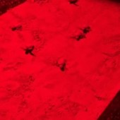 Caretta caretta, tre nuove tartarughine si sono incamminate verso il mare Caretta caretta, tre nuove tartarughine si sono incamminate verso il mare