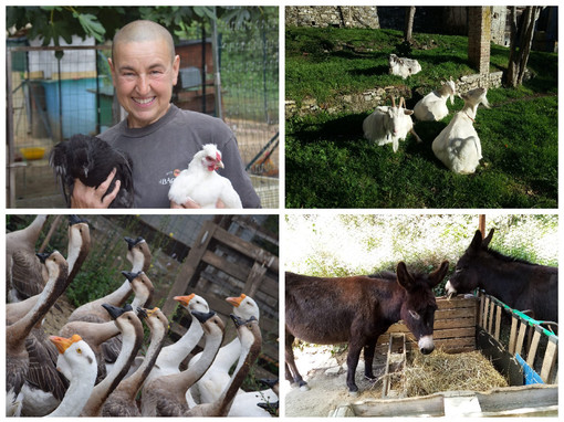 Capre, asini, anatre, cani e gatti a rischio sfratto. L’appello di Cinzia: ”Sono come i miei figli non voglio che siano abbattuti, aiutatemi"