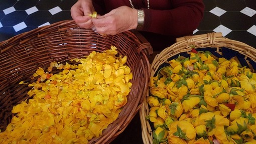 Pasqua in San Giovanni a Oneglia, il calendario della Settimana Santa Pasqua in San Giovanni a Oneglia, il calendario della Settimana Santa