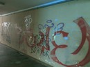 IL PUNTO. Imperia a cinque stelle… di degrado? IL PUNTO. Imperia a cinque stelle… di degrado?