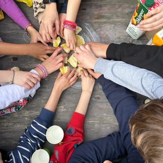 Lezione all'aperto per gli alunni della Scuola Primaria di Civezza: visita all'azienda agricola Oltremare
