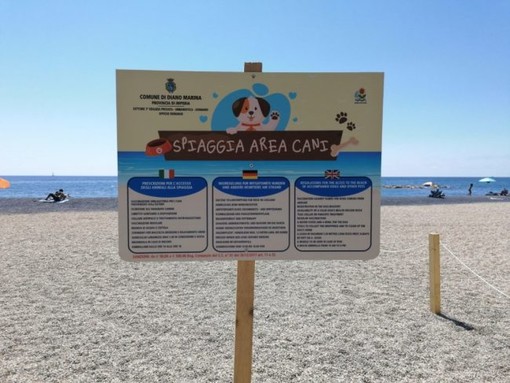 Diano Marina: esiste una spiaggia per cani, la precisazione del Comune Diano Marina: esiste una spiaggia per cani, la precisazione del Comune