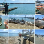 Porto di Oneglia invaso dai detriti, sopralluogo della Capitaneria (foto)