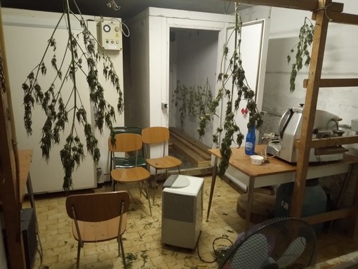 Imperia: polizia arresta 27enne italiano, in casa aveva 10 kg di marijuana e il materiale per il confezionamento