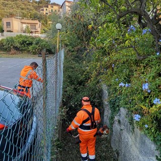 Pulizia dei corsi d’acqua e manutenzione del verde, a San Bartolomeo in corso i lavori autunnali Pulizia dei corsi d’acqua e manutenzione del verde, a San Bartolomeo in corso i lavori autunnali
