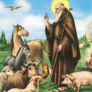 Festa del Patrono degli animali Sant’Antonio, Coldiretti: “Per il covid in aumento le adozioni di animali domestici”