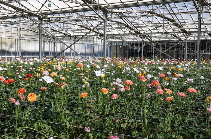 Caldo estremo: stop dalla Regione alle attività nei cantieri, in agricoltura e nel florovivaismo