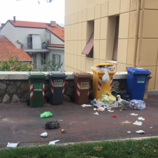 Imperia: bidoni della spazzatura e degrado a Porto Maurizio, la denuncia di una lettrice Imperia: bidoni della spazzatura e degrado a Porto Maurizio, la denuncia di una lettrice