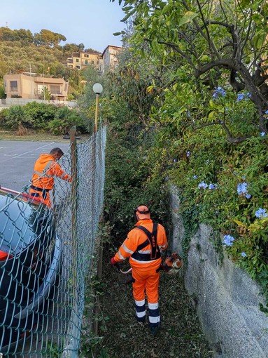 Pulizia dei corsi d’acqua e manutenzione del verde, a San Bartolomeo in corso i lavori autunnali Pulizia dei corsi d’acqua e manutenzione del verde, a San Bartolomeo in corso i lavori autunnali