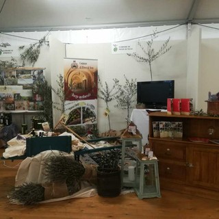 Dalla Valle Arroscia al mare, Pieve di Teco ha detto sì a Olioliova 2025