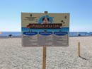 Diano Marina: esiste una spiaggia per cani, la precisazione del Comune Diano Marina: esiste una spiaggia per cani, la precisazione del Comune
