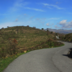 Completati gli interventi di manutenzione della Provincia lungo le strade della Val Prino e Dianese