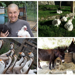 Capre, asini, anatre, cani e gatti a rischio sfratto. L’appello di Cinzia: ”Sono come i miei figli non voglio che siano abbattuti, aiutatemi"
