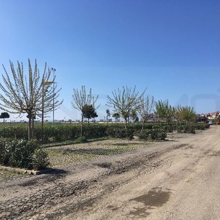 Imperia: molte richieste di fare attività fisica nei parchi cittadini, l'Assessore Vassallo "A tutti rispondo di si"