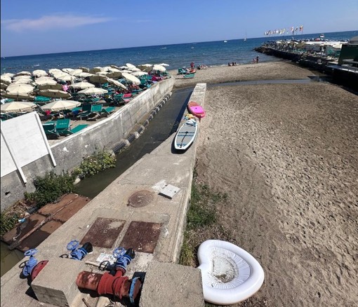 Tra anatre e ratti: la sorpresa poco piacevole sul torrente di Diano Marina