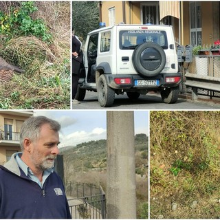 Caramagna,  salvata mamma cinghiala con i suoi cuccioli: mobilitazione animalista ferma l'abbattimento