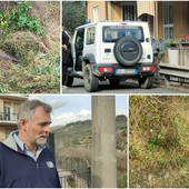 Caramagna, salvata mamma cinghiala con i suoi cuccioli: mobilitazione animalista ferma l'abbattimento Caramagna, salvata mamma cinghiala con i suoi cuccioli: mobilitazione animalista ferma l'abbattimento