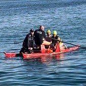 Diano Marina, cucciolo di capriolo rischia di annegare: salvato da polizia locale e volontari in pedalò (foto) Diano Marina, cucciolo di capriolo rischia di annegare: salvato da polizia locale e volontari in pedalò (foto)