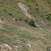 Emergenza siccità, razionamenti dell'acqua nell'entroterra: si moltiplicano ordinanze e divieti per fronteggiare la crisi idrica Emergenza siccità, razionamenti dell'acqua nell'entroterra: si moltiplicano ordinanze e divieti per fronteggiare la crisi idrica