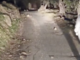 Imperia, pericolo in strada Ciosa. Crolla tutto: pezzi di muro a secco piombano sulla carreggiata Imperia, pericolo in strada Ciosa. Crolla tutto: pezzi di muro a secco piombano sulla carreggiata